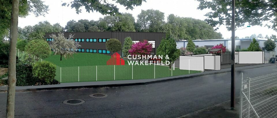 CUSHMAN WAKEFIELD TOULOUSE LOCATION-LOCAL D'ACTIVITE-TOULOUSE-31