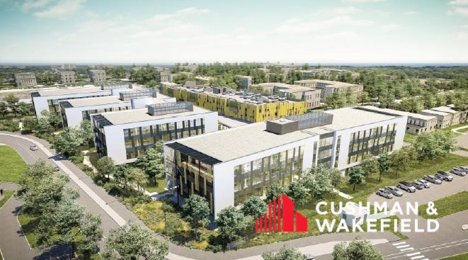 CUSHMAN WAKEFIELD TOULOUSE LOCATION-BUREAUX-TOULOUSE-31