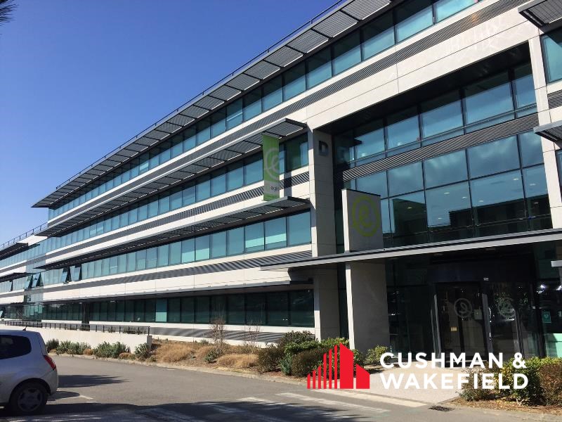 CUSHMAN WAKEFIELD TOULOUSE LOCATION-BUREAUX-BALMA-31