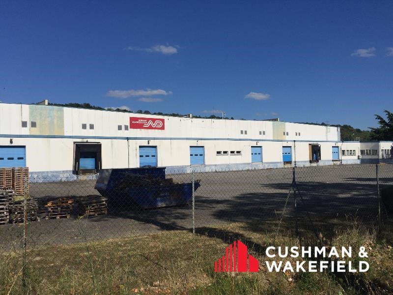 CUSHMAN WAKEFIELD TOULOUSE LOCATION-ENTREPOT-GRISOLLES-82
