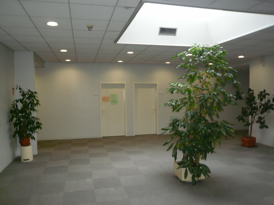 ARTHUR LOYD ALSACE LOCATION-BUREAUX-ILLZACH-68