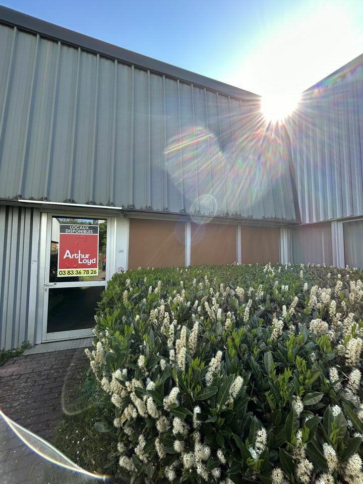 ARTHUR LOYD LORRAINE  LOCATION-BUREAUX-MAXEVILLE-54