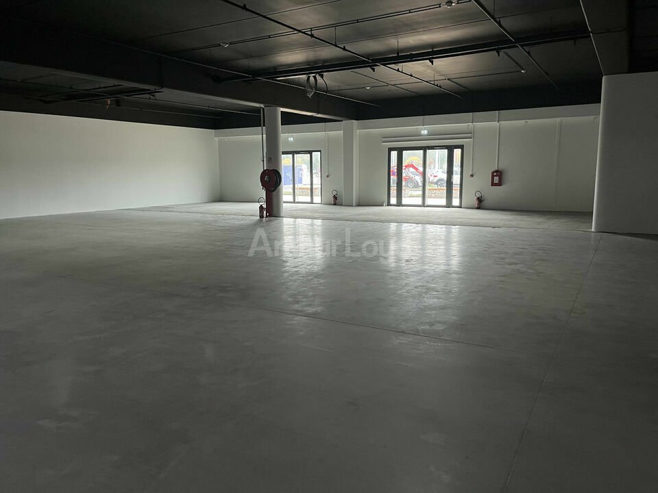 ARTHUR LOYD ALSACE LOCATION-LOCAL COMMERCIAL-WITTENHEIM-68