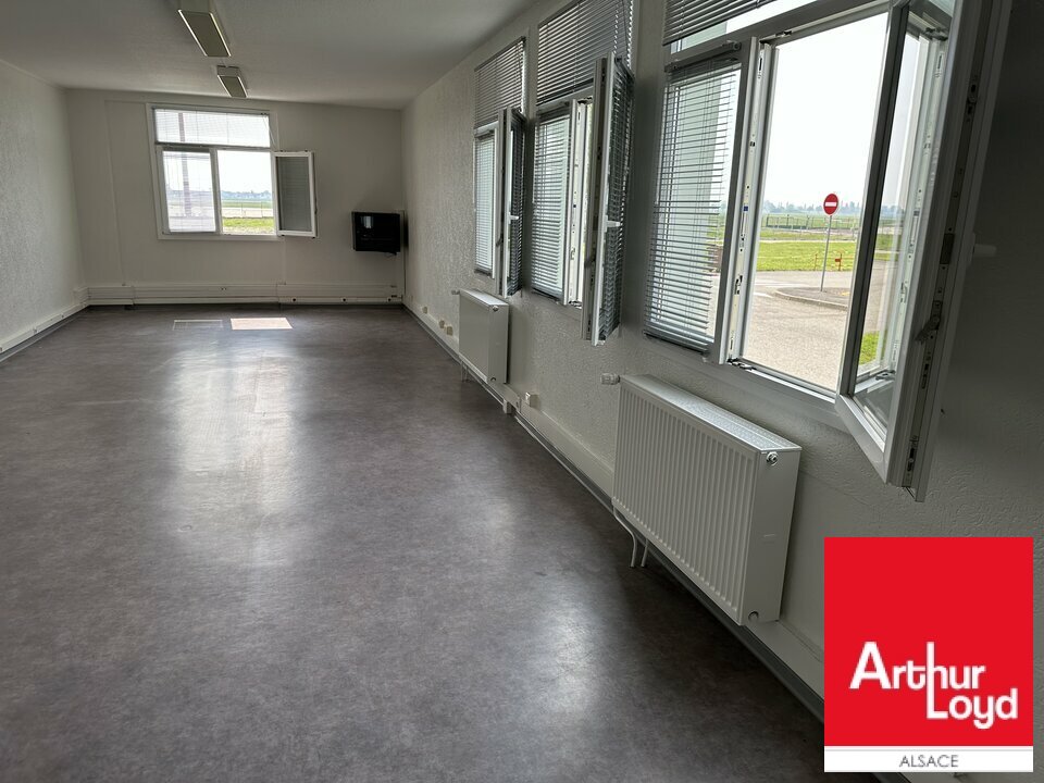 ARTHUR LOYD ALSACE LOCATION-BUREAUX-ENTZHEIM-67