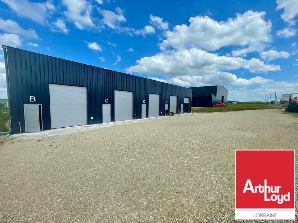 ARTHUR LOYD LORRAINE  LOCATION-LOCAL D'ACTIVITE-MORVILLE_LES_VIC-57