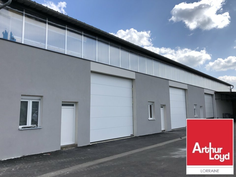 ARTHUR LOYD LORRAINE  VENTE-LOCAL D'ACTIVITE-SEINGBOUSE-57