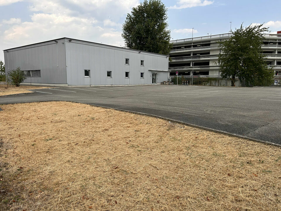 ARTHUR LOYD ALSACE VENTE-LOCAL D'ACTIVITE-SAINT-LOUIS-68