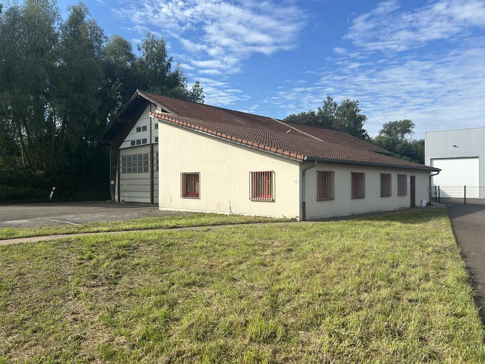 ARTHUR LOYD LORRAINE  LOCATION-LOCAL D'ACTIVITE-MORSBACH-57