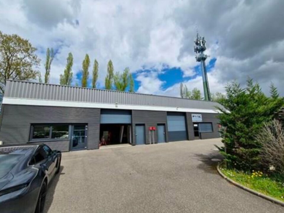 ARTHUR LOYD ALSACE LOCATION-LOCAL D'ACTIVITE-WITTELSHEIM-68