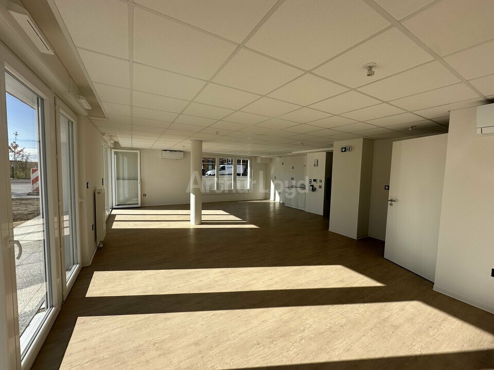 ARTHUR LOYD ALSACE LOCATION-BUREAUX-NIEDERHAUSBERGEN-67