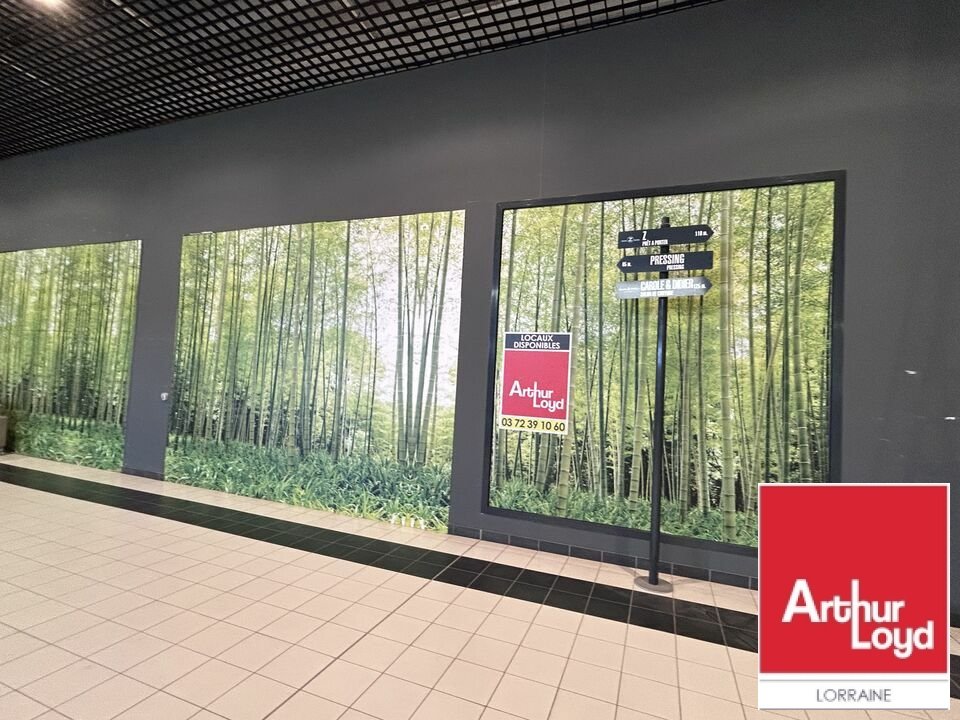 ARTHUR LOYD LORRAINE  LOCATION-LOCAL COMMERCIAL-AMNEVILLE-57