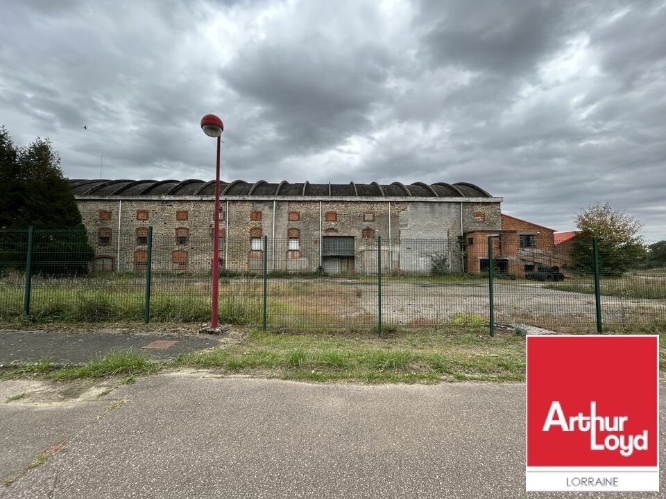 ARTHUR LOYD LORRAINE  VENTE-ENTREPOT-TETING_SUR_NIED-57