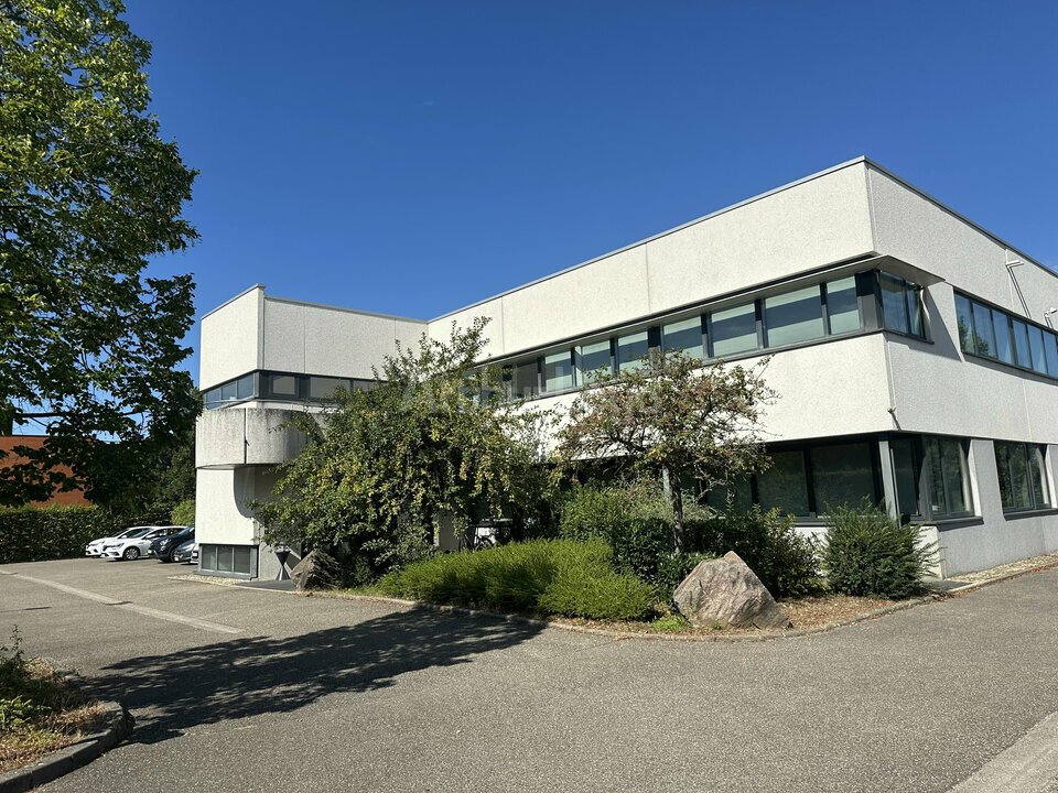 ARTHUR LOYD ALSACE LOCATION-BUREAUX-ENTZHEIM-67