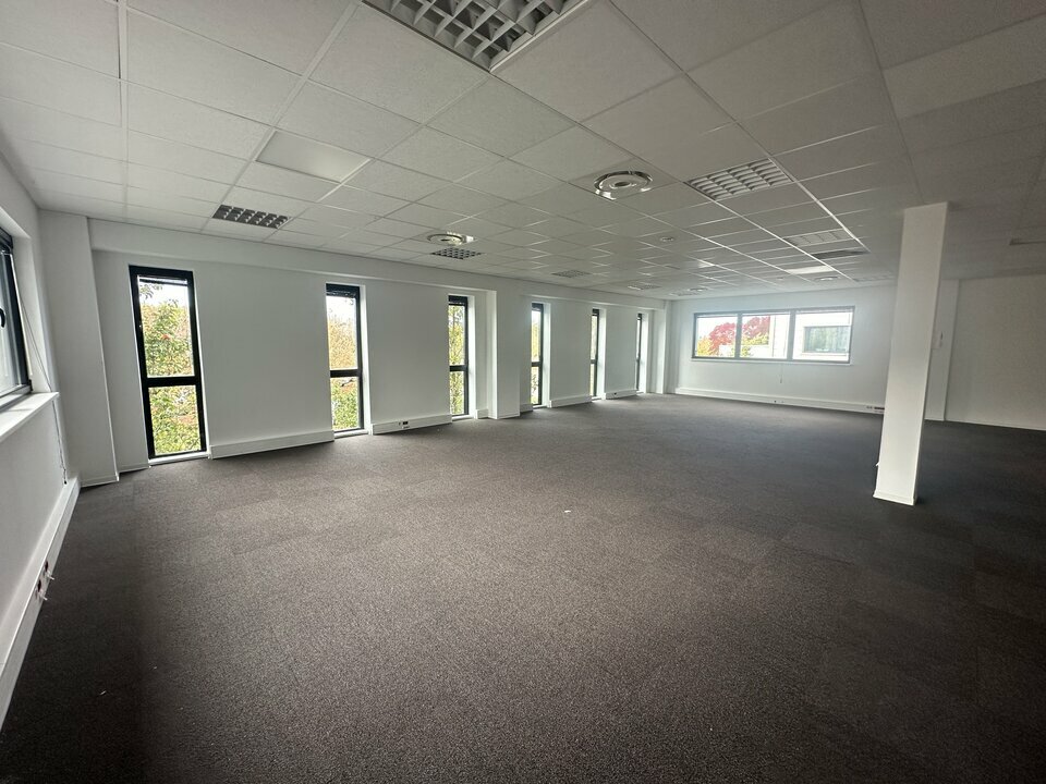 ARTHUR LOYD ALSACE LOCATION-BUREAUX-ENTZHEIM-67