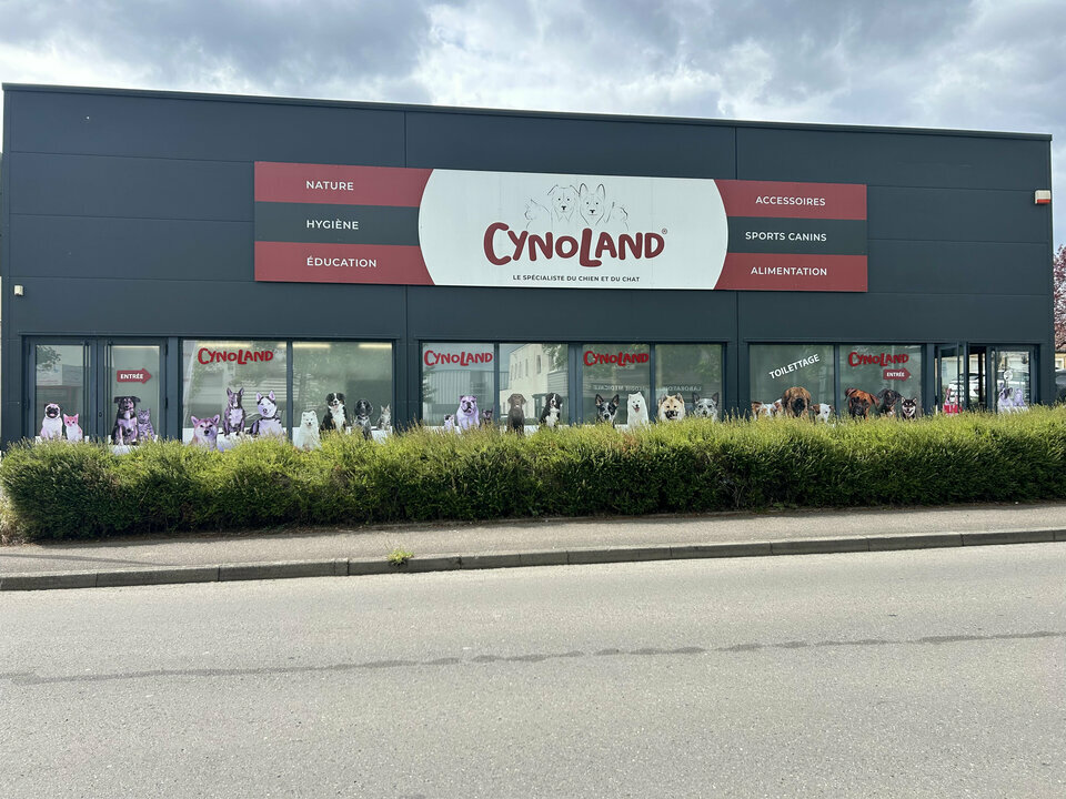 ARTHUR LOYD LORRAINE  VENTE-LOCAL D'ACTIVITE-THIONVILLE-57