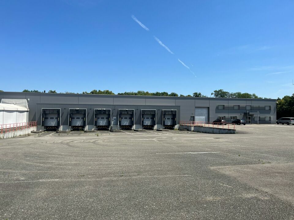 ARTHUR LOYD ALSACE LOCATION-LOCAL D'ACTIVITE-WITTENHEIM-68