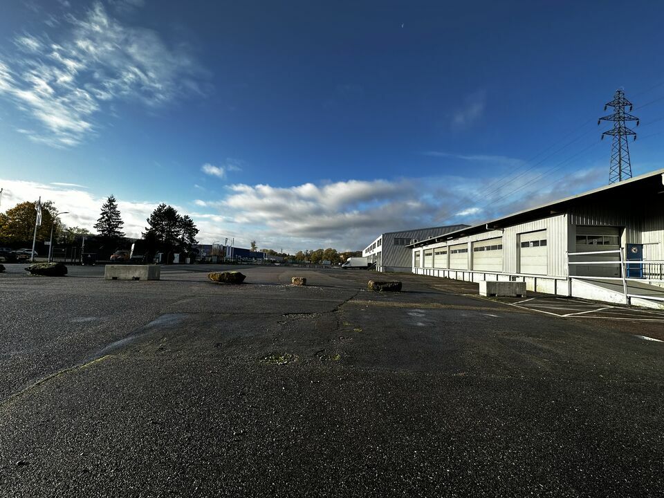 ARTHUR LOYD LORRAINE  LOCATION-LOCAL D'ACTIVITE-FORBACH-57