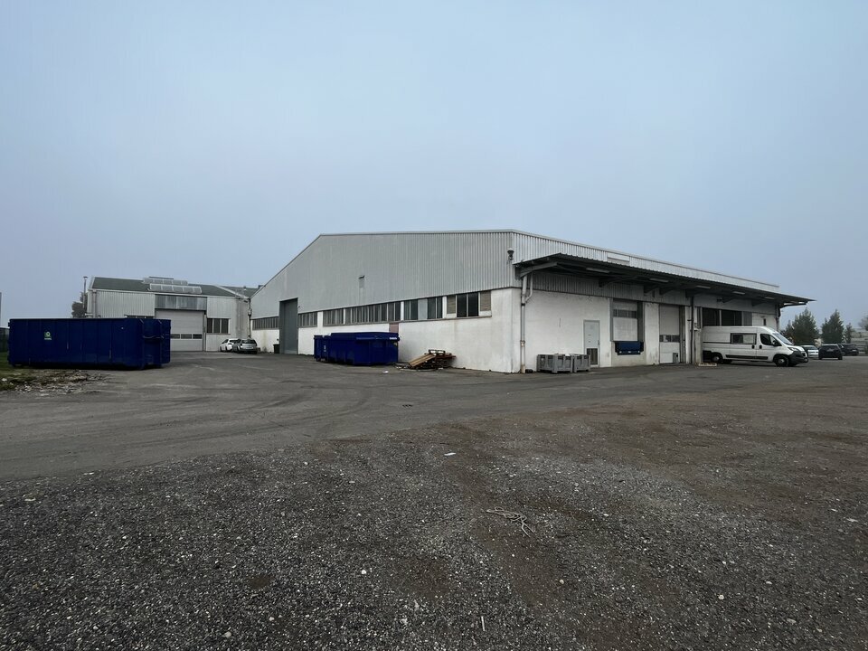 ARTHUR LOYD ALSACE LOCATION-LOCAL D'ACTIVITE-GEISPOLSHEIM-67