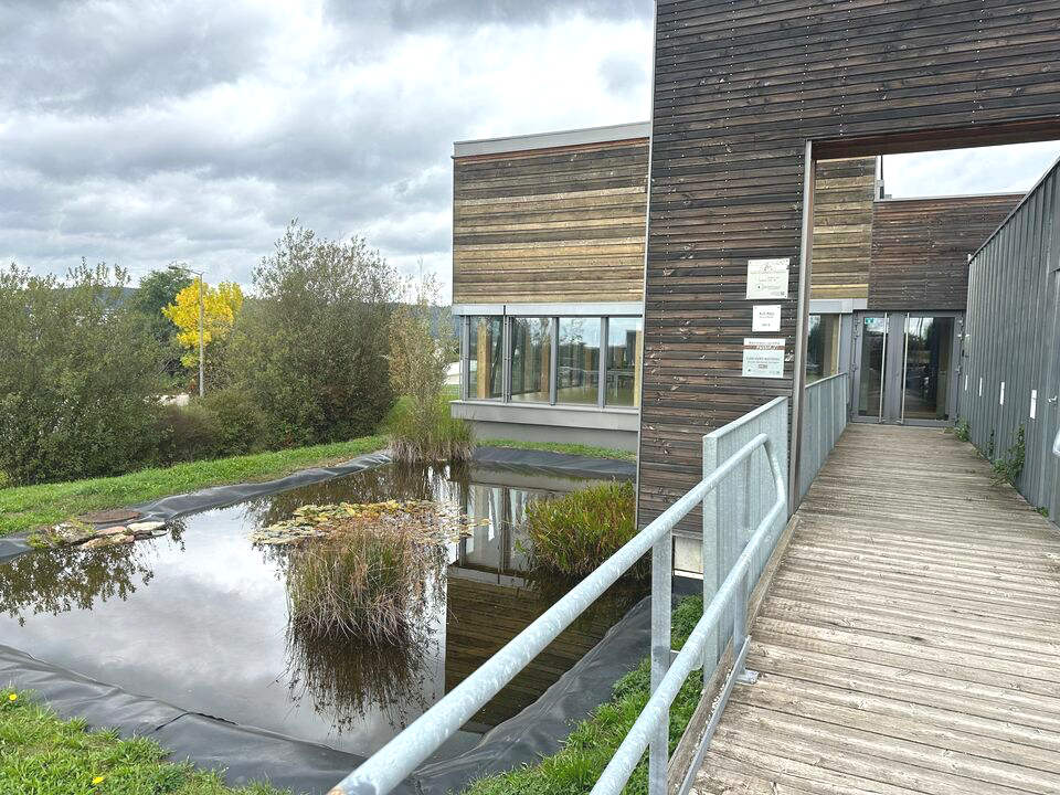 ARTHUR LOYD ALSACE VENTE-BUREAUX-SAVERNE-67