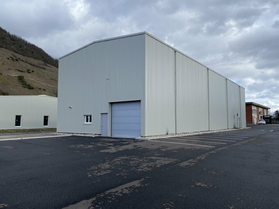 ARTHUR LOYD ALSACE LOCATION-LOCAL D'ACTIVITE-THANN-68