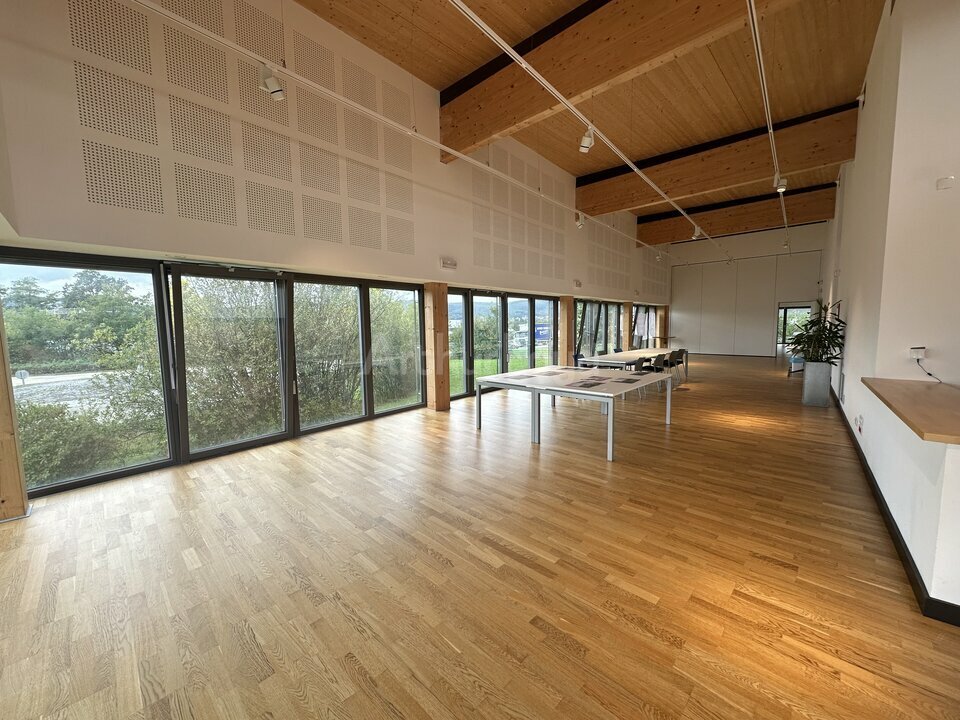 ARTHUR LOYD ALSACE LOCATION-BUREAUX-SAVERNE-67