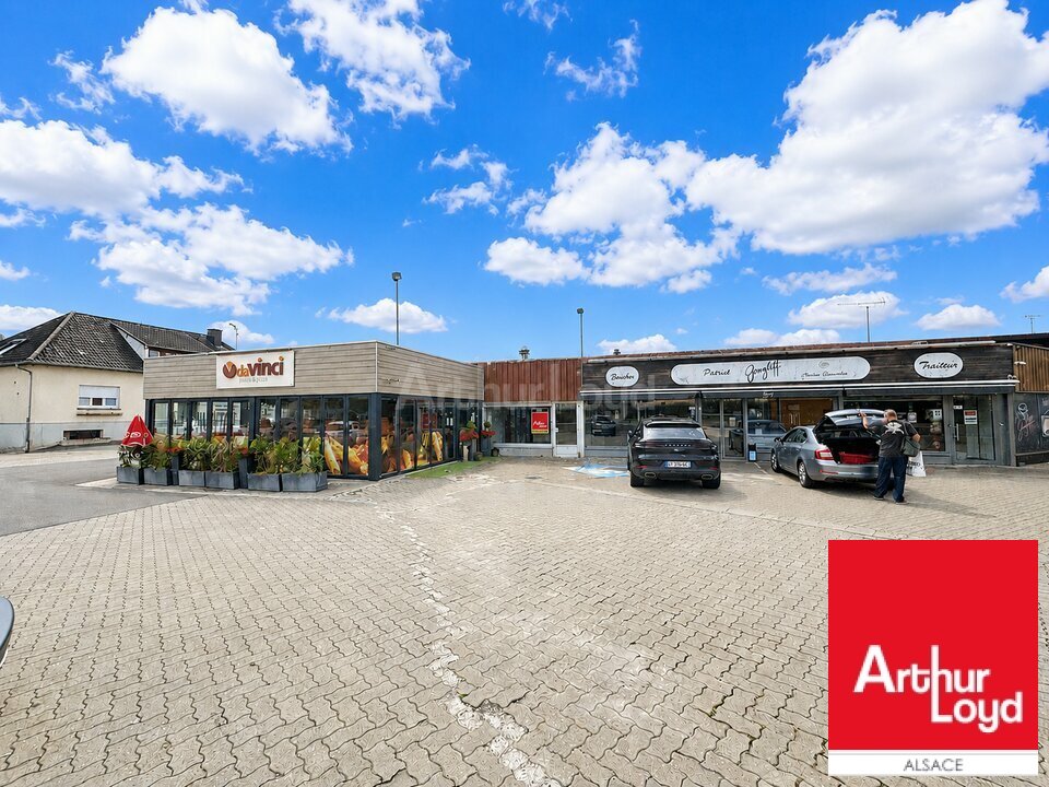 ARTHUR LOYD ALSACE VENTE-IMMEUBLE-SARRE-UNION-67