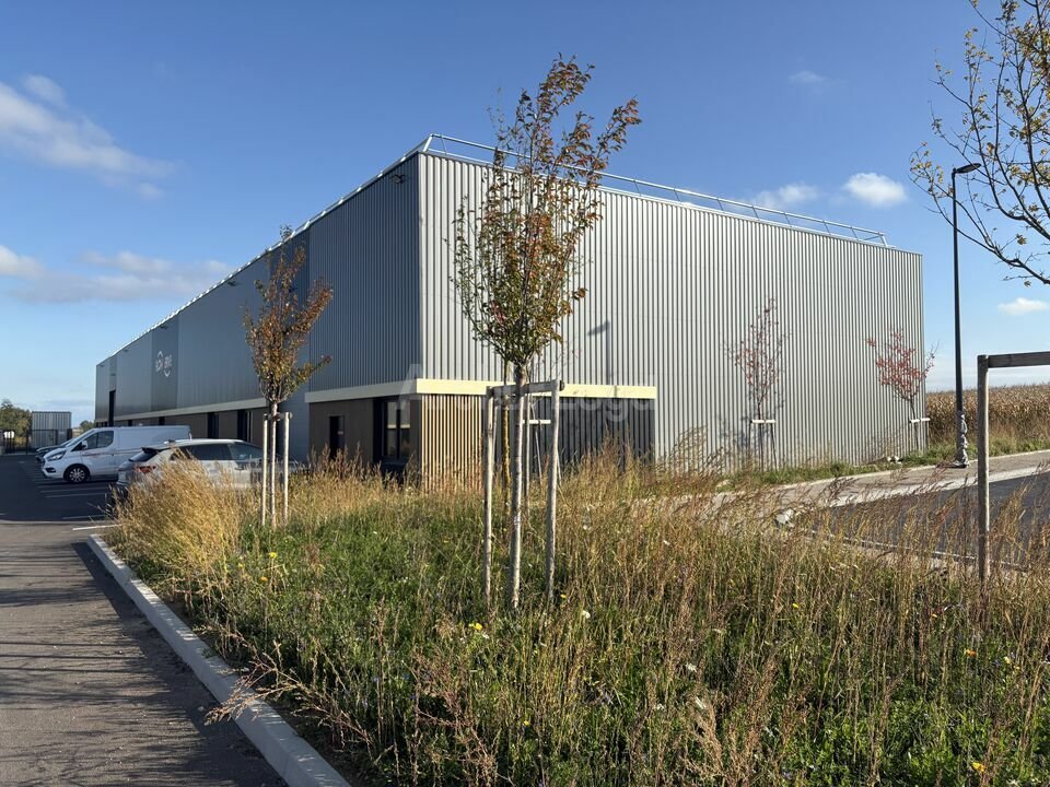 ARTHUR LOYD ALSACE VENTE-LOCAL D'ACTIVITE-WINGERSHEIM-67