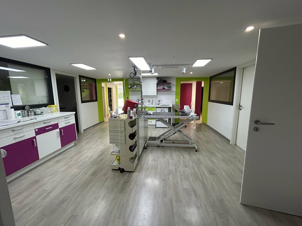 ARTHUR LOYD LORRAINE  LOCATION-BUREAUX-CREUTZWALD-57
