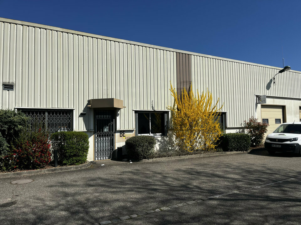 ARTHUR LOYD ALSACE LOCATION-LOCAL D'ACTIVITE-SCHILTIGHEIM-67