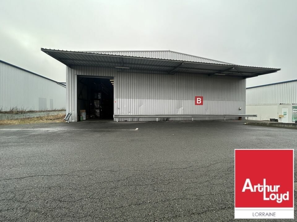 ARTHUR LOYD LORRAINE  LOCATION-LOCAL D'ACTIVITE-SARREGUEMINES-57