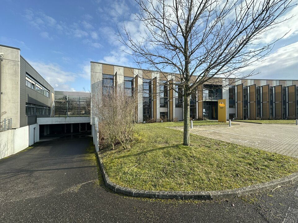 ARTHUR LOYD ALSACE VENTE-BUREAUX-SCHILTIGHEIM-67