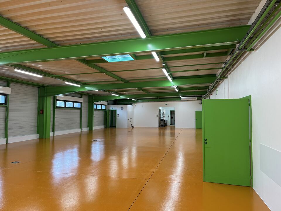 ARTHUR LOYD ALSACE LOCATION-LOCAL D'ACTIVITE-RIXHEIM-68