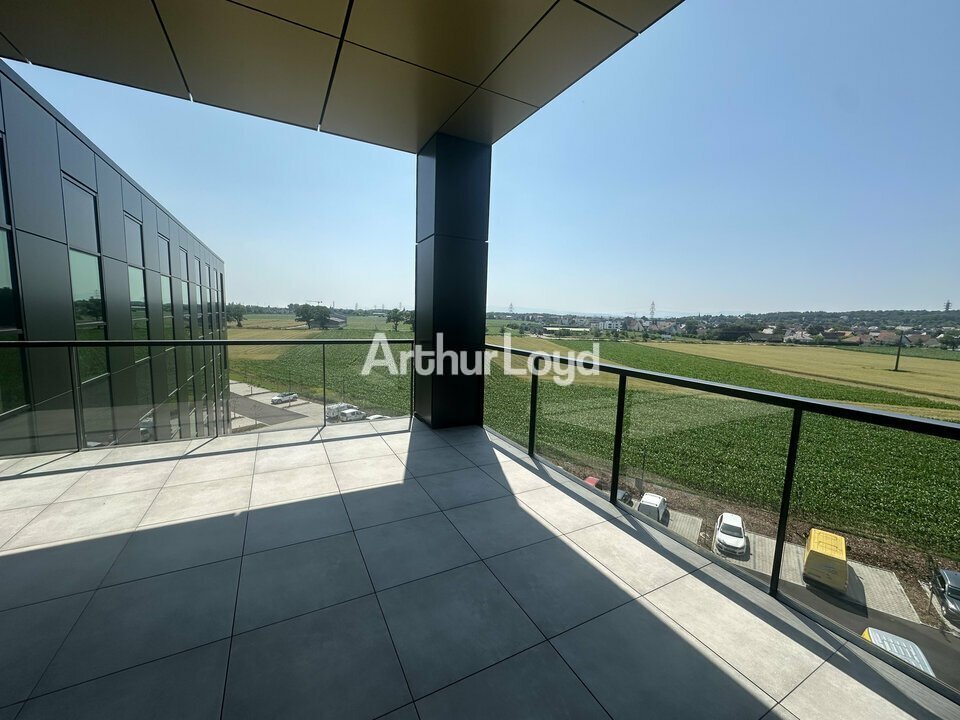 ARTHUR LOYD ALSACE LOCATION-BUREAUX-SCHILTIGHEIM-67