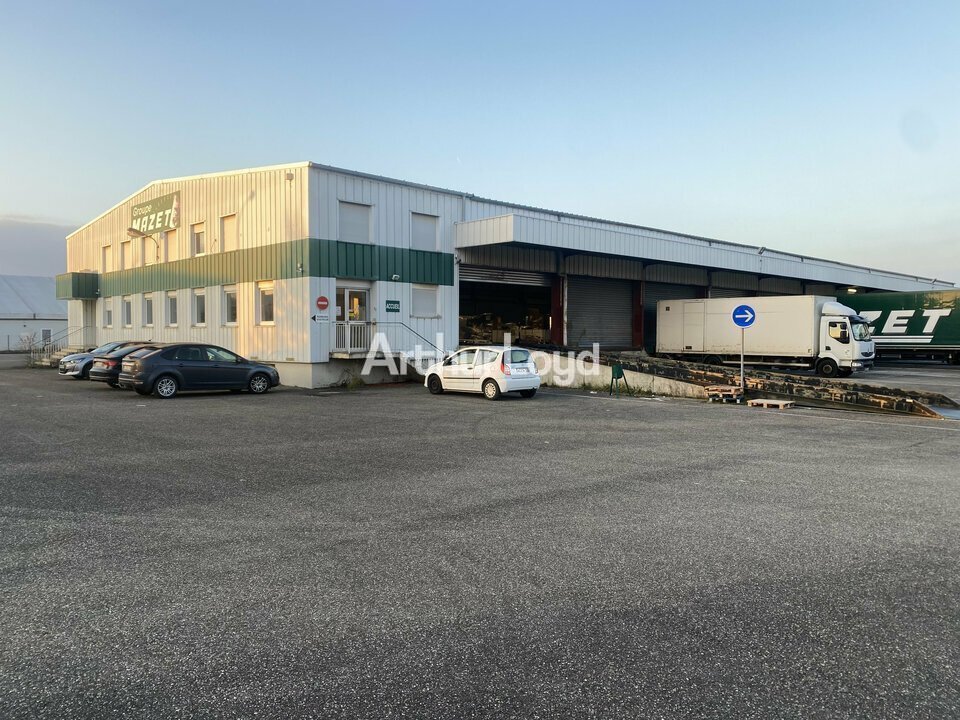 ARTHUR LOYD ALSACE LOCATION-LOCAL D'ACTIVITE-ENSISHEIM-68