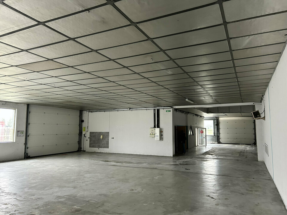 ARTHUR LOYD ALSACE LOCATION-LOCAL COMMERCIAL-ILLZACH-68