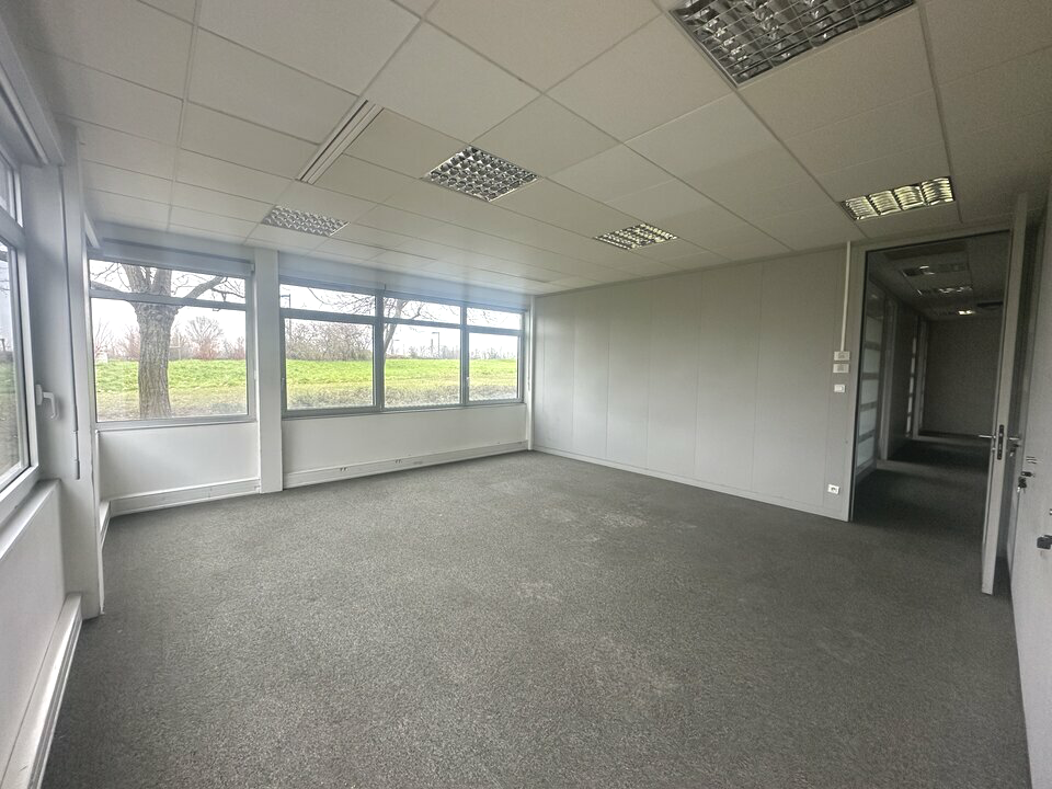 ARTHUR LOYD ALSACE LOCATION-BUREAUX-ENTZHEIM-67
