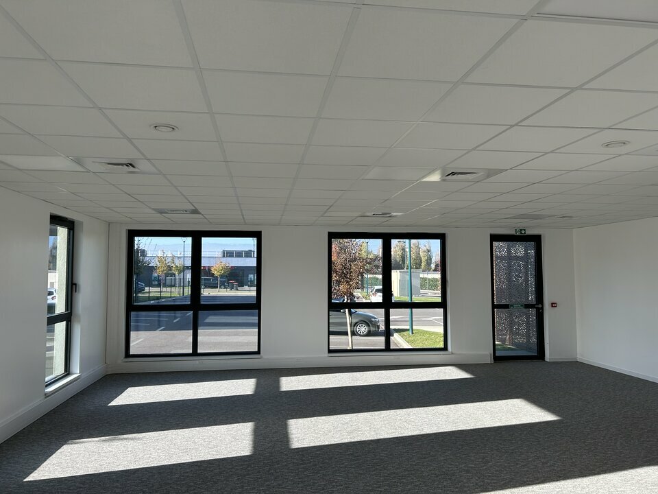 ARTHUR LOYD ALSACE LOCATION-BUREAUX-SAINT_LOUIS-68
