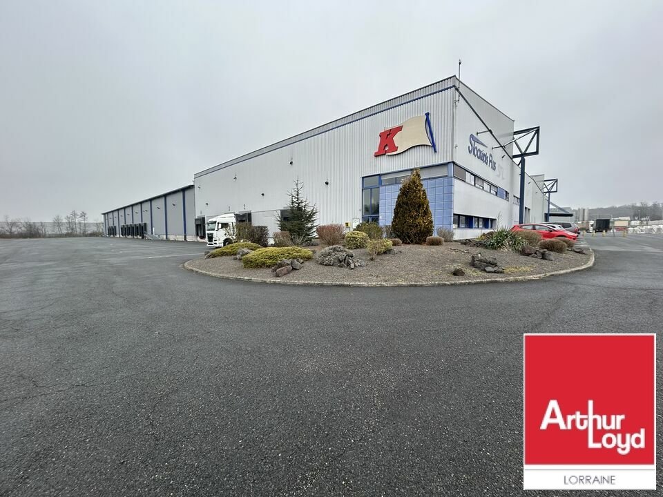 ARTHUR LOYD LORRAINE  LOCATION-LOCAL D'ACTIVITE-SARREGUEMINES-57