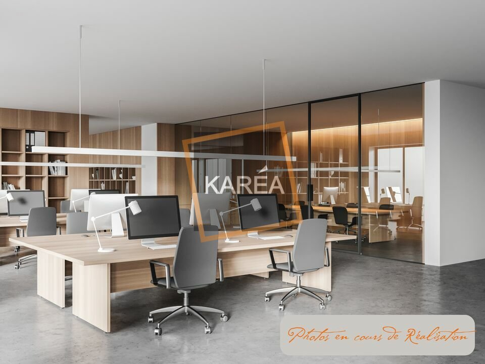 KAREA VENTE-BUREAUX-SERRIS-77