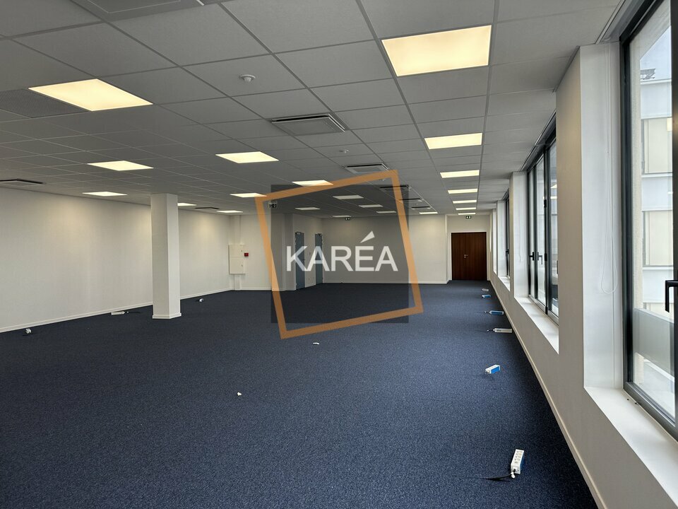 KAREA VENTE-BUREAUX-CHESSY-77