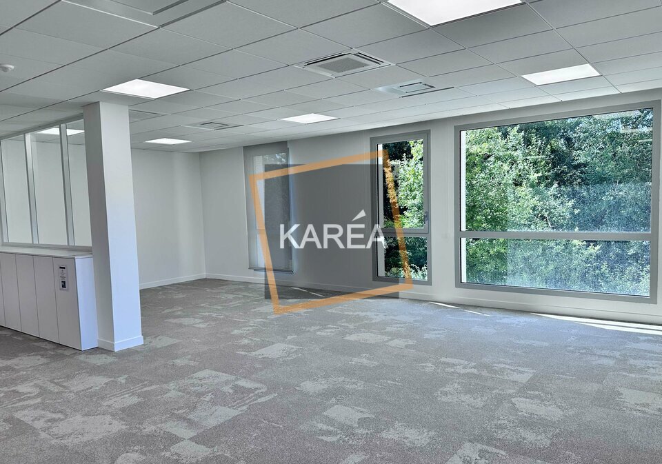 KAREA VENTE-BUREAUX-SERRIS-77