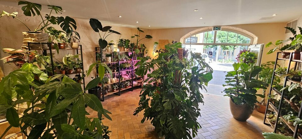 ACE IMMOBILIER LOCATION-LOCAL COMMERCIAL-ANTIBES-06