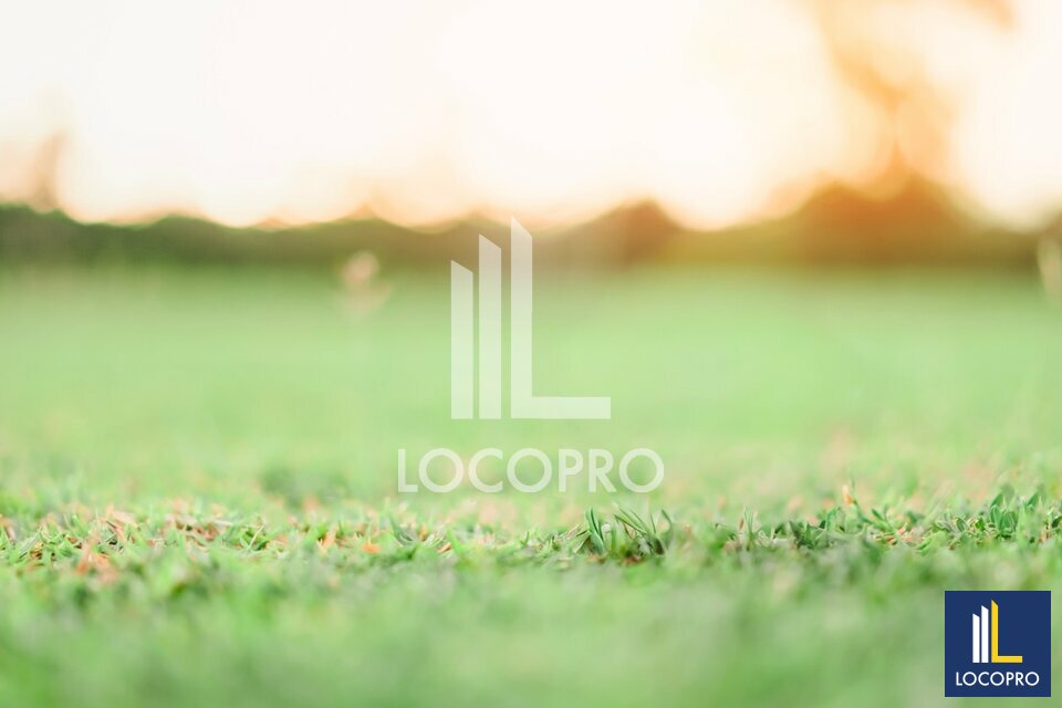 LOCOPRO ALPES MARITIMES LOCATION-TERRAIN-GATTIERES-06
