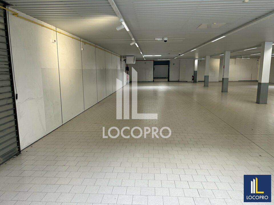 LOCOPRO BOUCHES DU RHONE LOCATION-LOCAL COMMERCIAL-SAINT_MARTIN_DE_CRAU-13