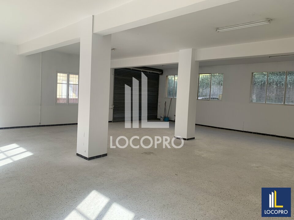 LOCOPRO ALPES MARITIMES LOCATION-LOCAL D'ACTIVITE-SAINT_ANDRE-06
