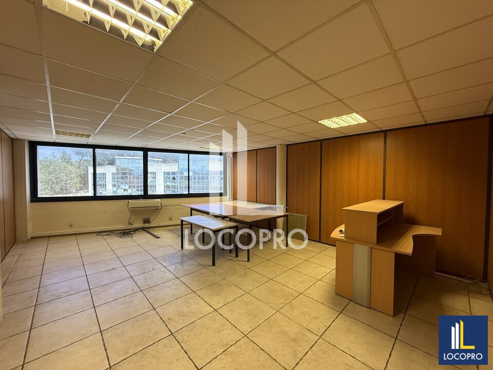 LOCOPRO ALPES MARITIMES VENTE-BUREAUX-CANNES_LA_BOCCA-06