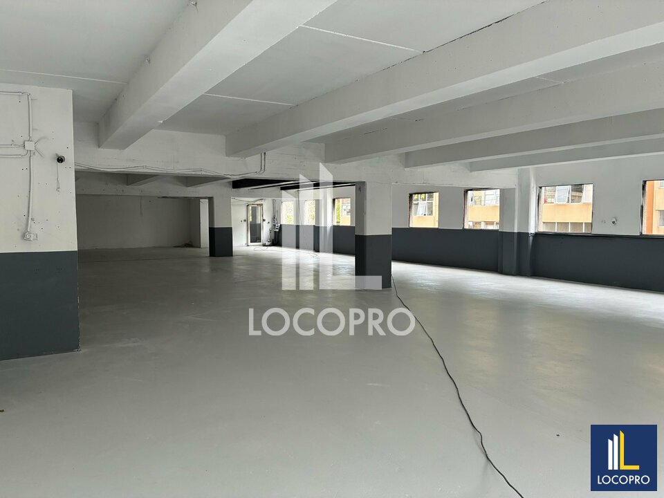 LOCOPRO ALPES MARITIMES LOCATION-LOCAL D'ACTIVITE-NICE-06