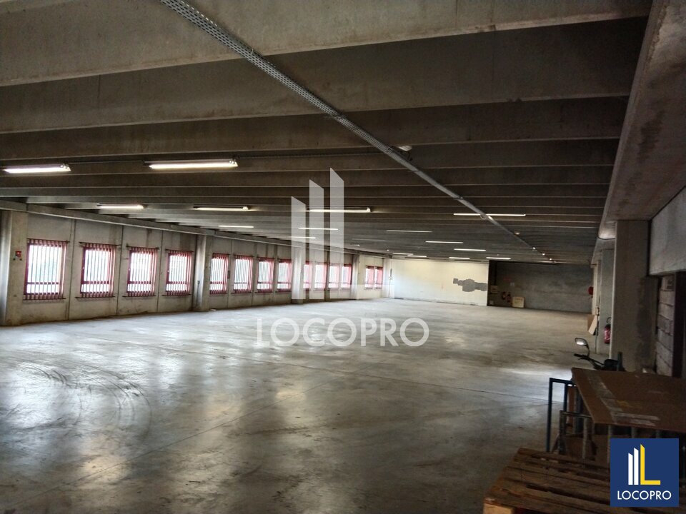 LOCOPRO ALPES MARITIMES LOCATION-LOCAL D'ACTIVITE-CARROS-06