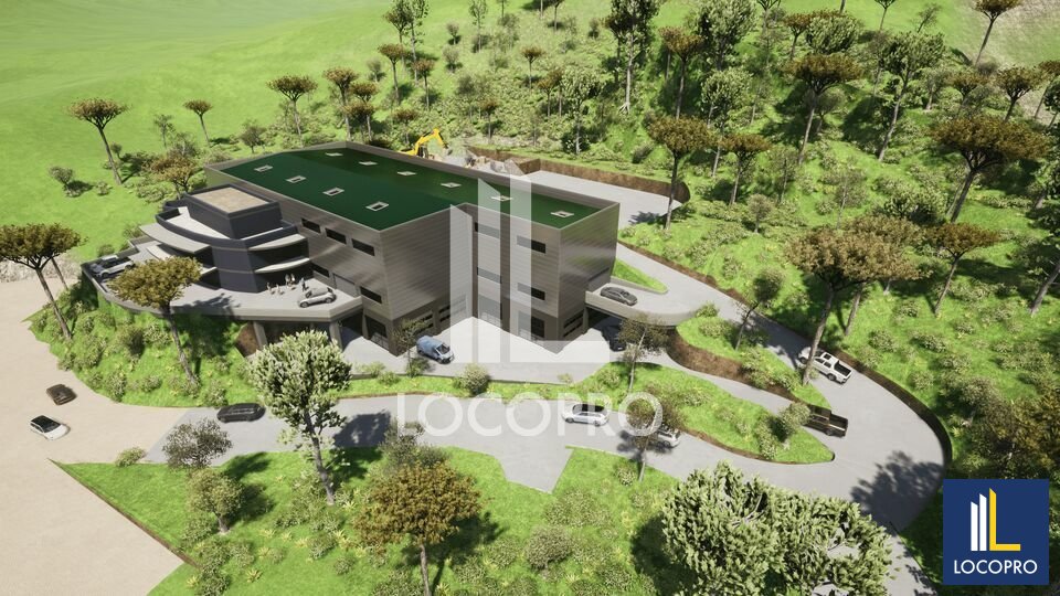 LOCOPRO ALPES MARITIMES LOCATION-LOCAL D'ACTIVITE-NICE-06