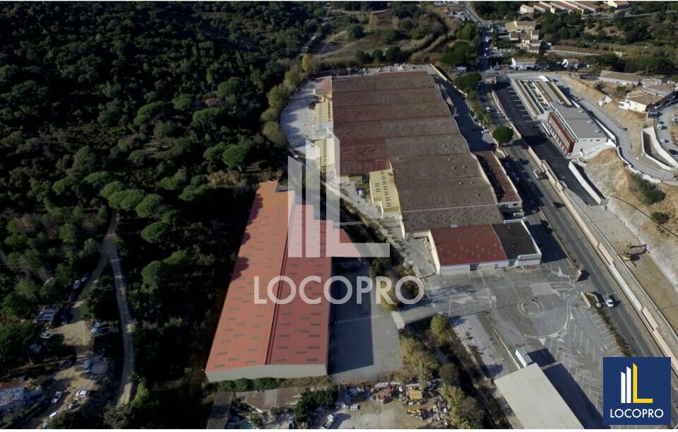 LOCOPRO ALPES MARITIMES LOCATION-LOCAL D'ACTIVITE-SAINTE_MAXIME-83